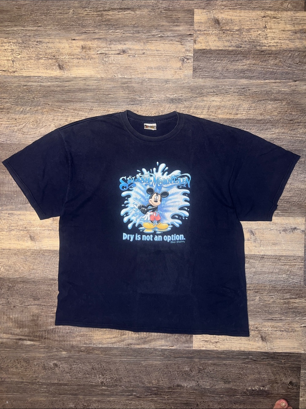 1990’s Splash Mountain “Dry is not an option”T-shirt